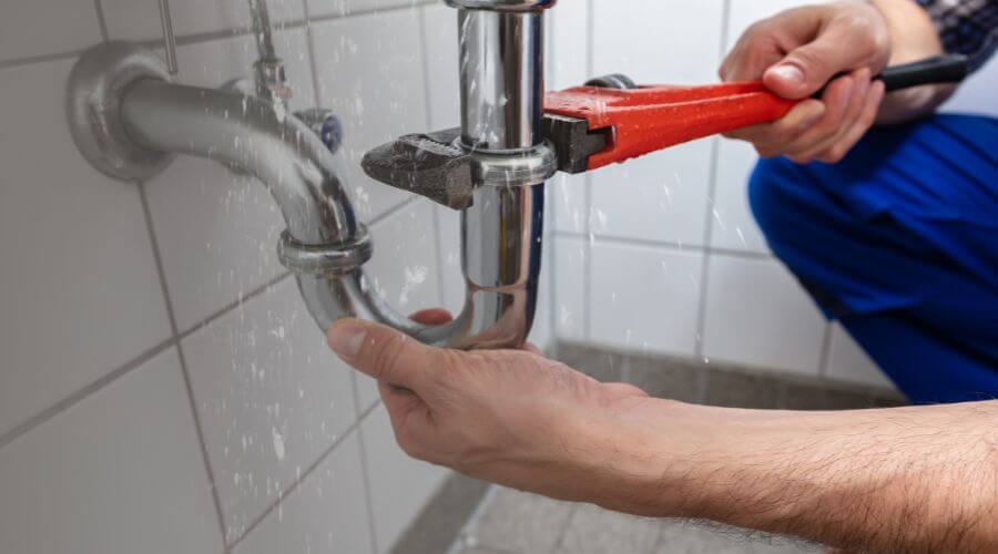 Roof Leak Detection Inspection in Dagsboro, DE